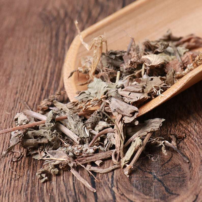 Natural Herbal Plantaginis Pure Plantain Herb Plantago Asiatica Great Quality