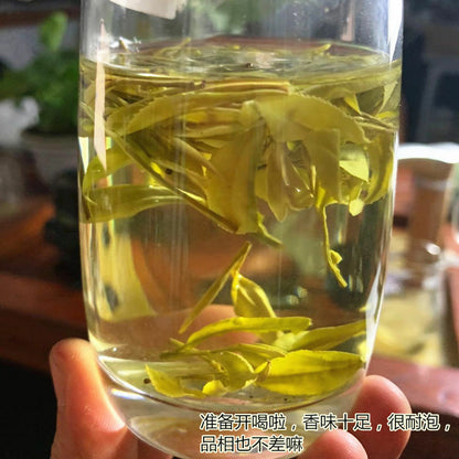 Chinese Anji Jin Ya Green Tea An Ji Golden Buds Bai Cha