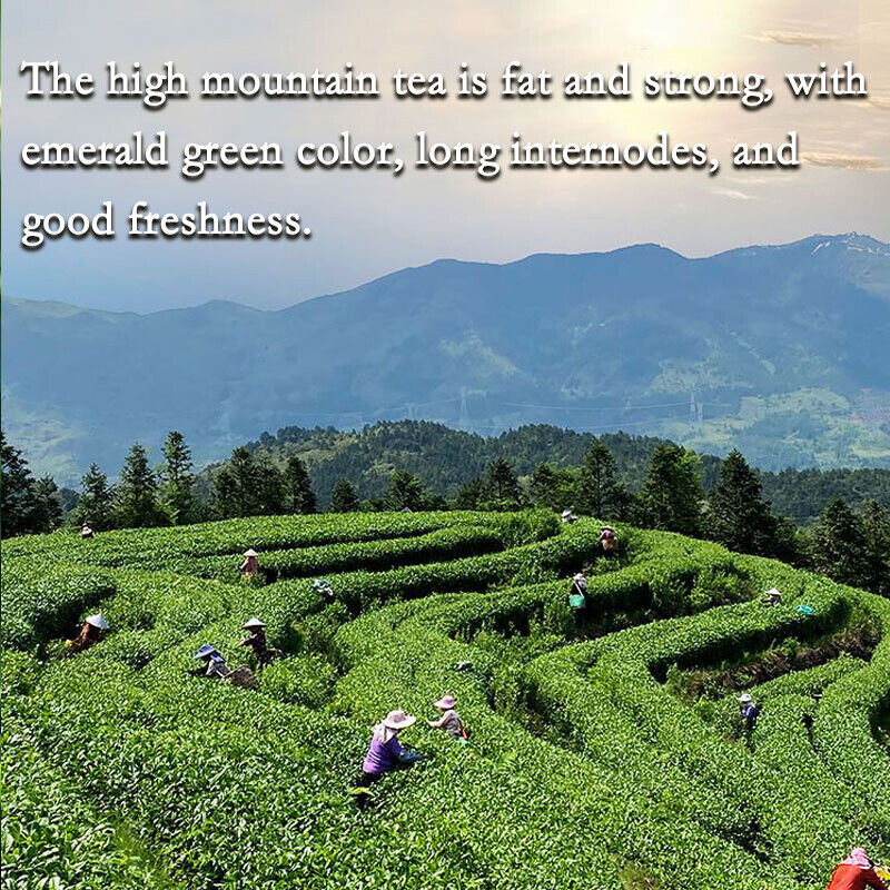 Milk Oolong Tea Original Good Tea Natural Organic Oolong Tea Without Additives