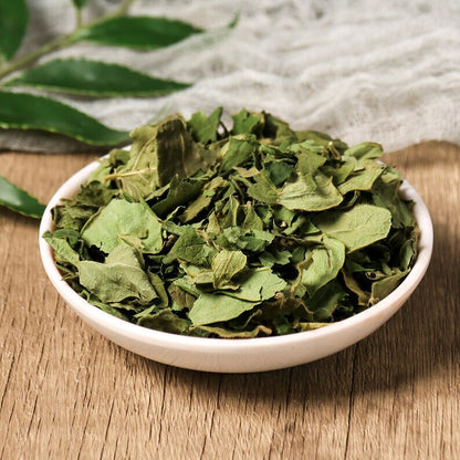 Organic Herbal Japanese Honeysuckle Leaf Honeysuckle Leaf Great Quality