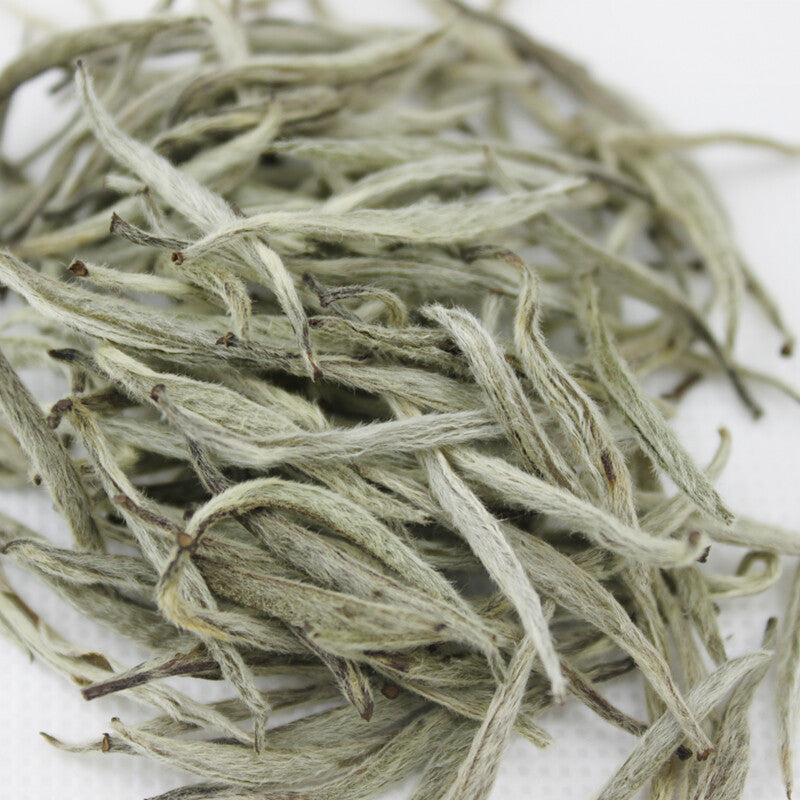 Premium Silver Needle White Tea Fu Ding Bai Hao Yin Zhen Tea 75g Tin