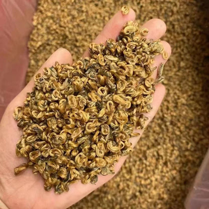 Premium Golden Snail Dian Hong Jin Luo Handmade Pure Bud China Yunnan Black Tea