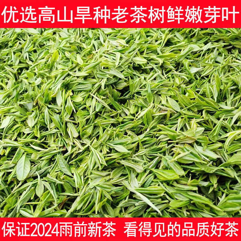 Xinyang Maojian 2024 Green Tea loose-leaf tea Authentic rain Spring Tea 500g
