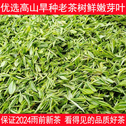 Xinyang Maojian 2024 Green Tea loose-leaf tea Authentic rain Spring Tea 500g