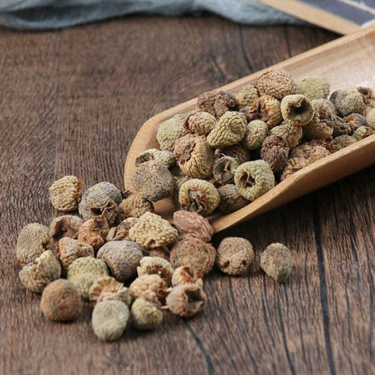 Dried Palmleaf Raspberry Fruit Fructus Rubi Rubus Chingii Hu. Healthy Tea