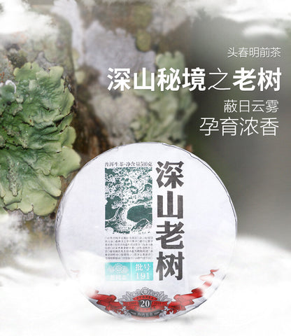Haiwan Remote Mountain Old Tree Puer Tea Cake 2019 500g Raw Pu-erh Pu'er 191