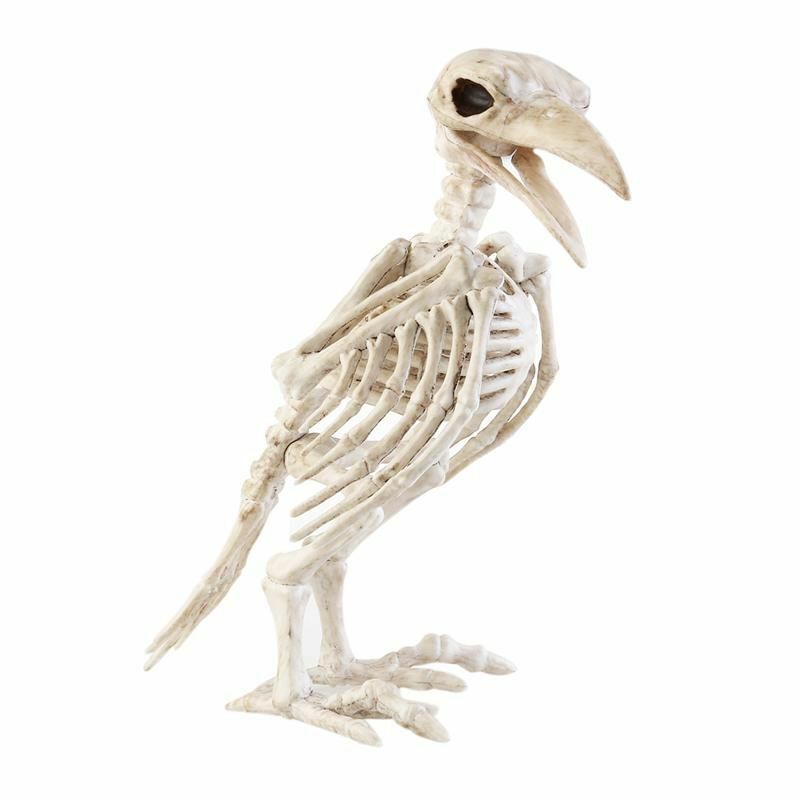 Animal Skeleton Bird Crow Raven Plastic Bones Horror Halloween Props 18x13x19cm