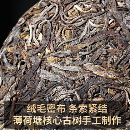 357g Yunnan Yiwu Ancient Tree 2023 Spring Tea Bohetang Pu'er Tea Raw Tea Cake