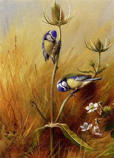 oil painting handpainted on canvas "Bluetits On A Teasel"