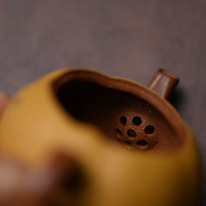 Small Tea Pot Full Handmade Real Yixing Zisha Duan Clay Chinese Kungfu Tea Pot