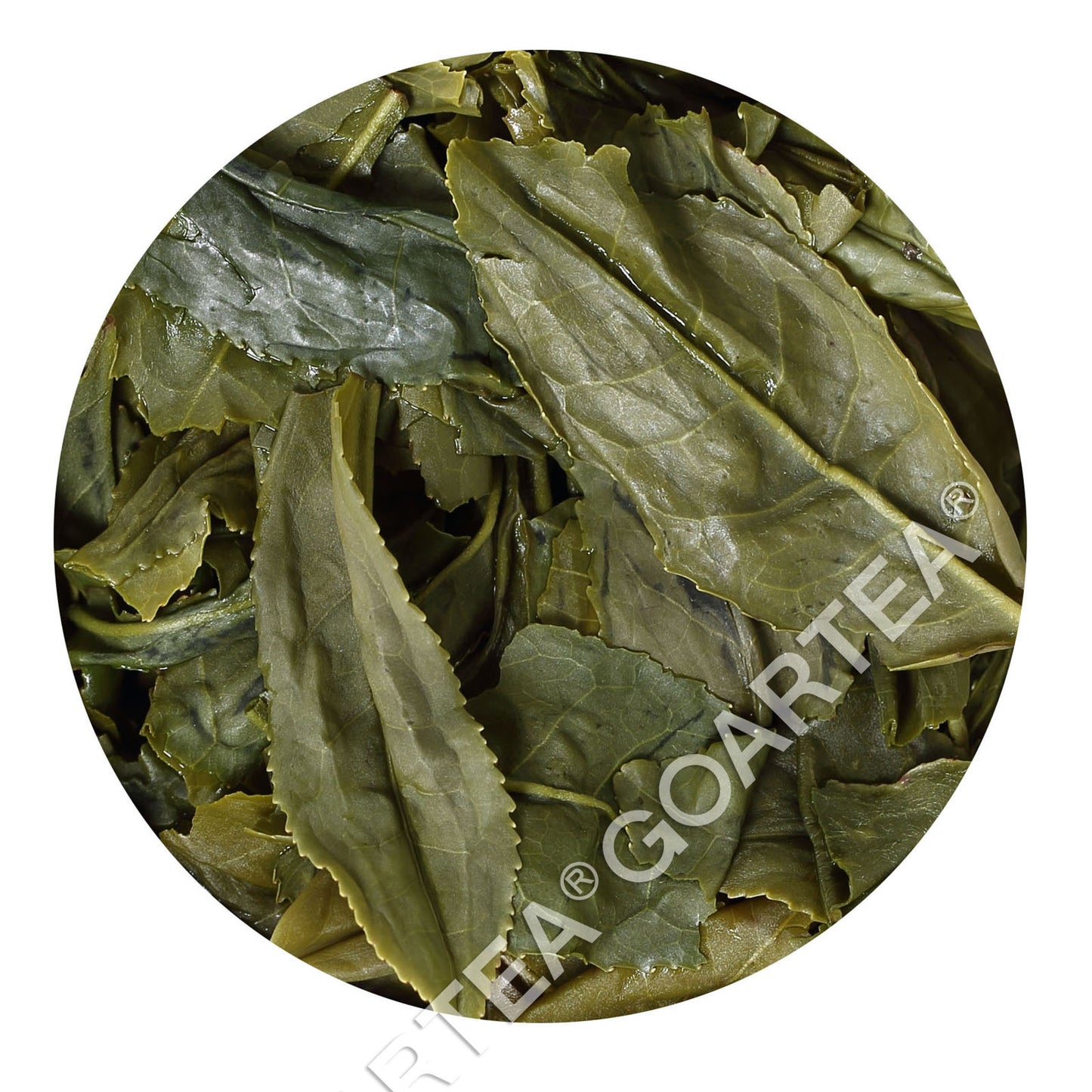 GOARTEA 100g Supreme Melon Slice Liuan Guapian Green Tea Loose Spring Green Tea-