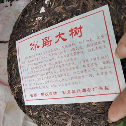357g Yunnan Premium Raw Puerh Tea 2013 Bingdao Big Tree Aged Pu'er Raw Tea Cake