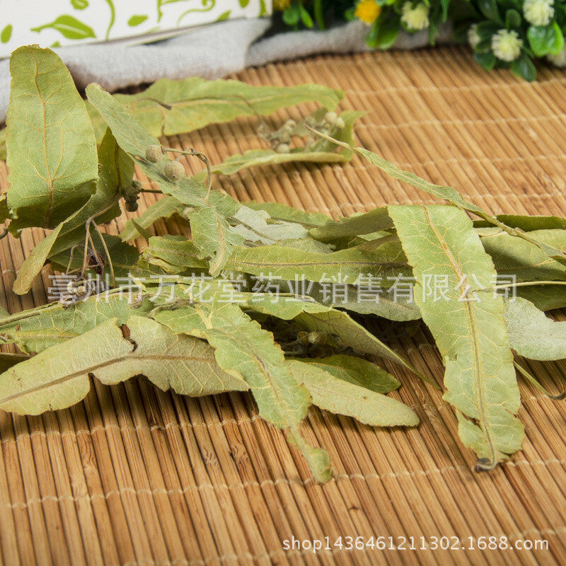 Natural Bodhi Leaf Linden Tea Premium Herbal Tea Tilia Europaea New Products！