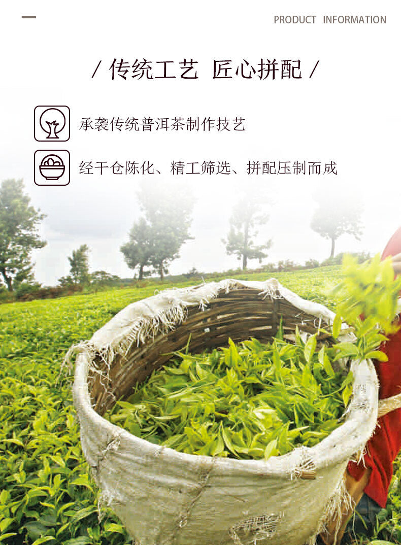 2019 Old Tree Chunqiu San Hao Raw Pu-erh Sheng Cha 357g Zhongcha Pu'er Puer Tea