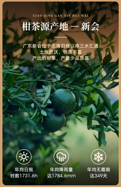 EFUTON Brand Chenpi Orange Pu'er Yunnan Pu-erh Tea Stuffed Tangerine Ripe 230g