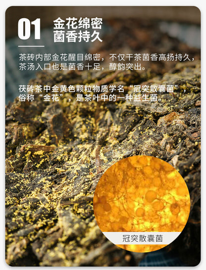 CHINATEA Jinhua MM Hunan Anhua Golden Flowers Fucha Dark Tea Brick Fu Zhuan 360g