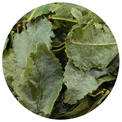 GOARTEA Supreme Tie Guan Yin Oolong Tea Fujian Anxi High Mount Iron Goddess Tea-