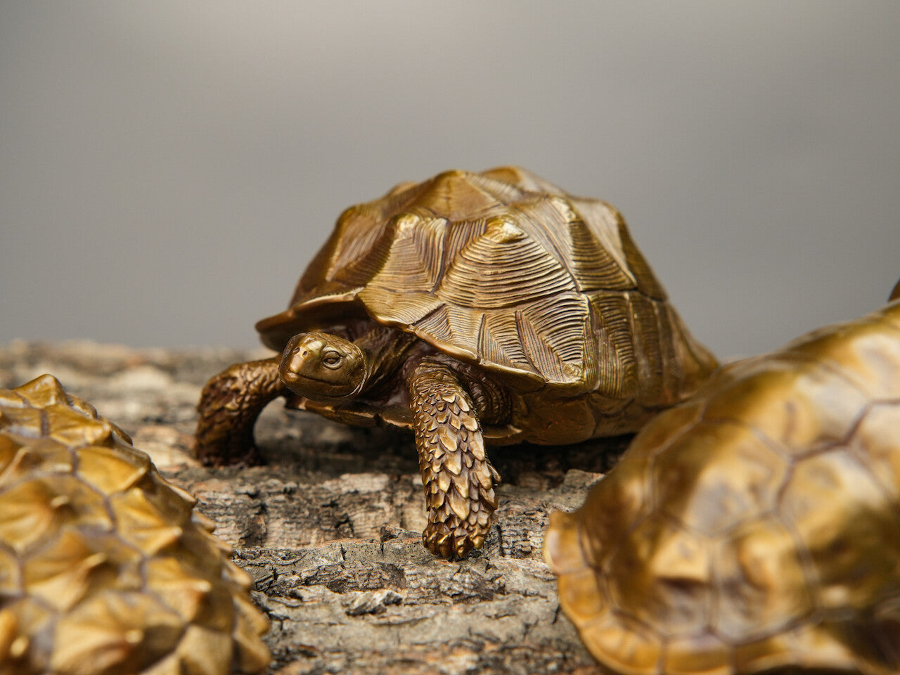 Chinese Brass Hand Casting Turtle Statue Figure Collectable Home Decoration 400g
