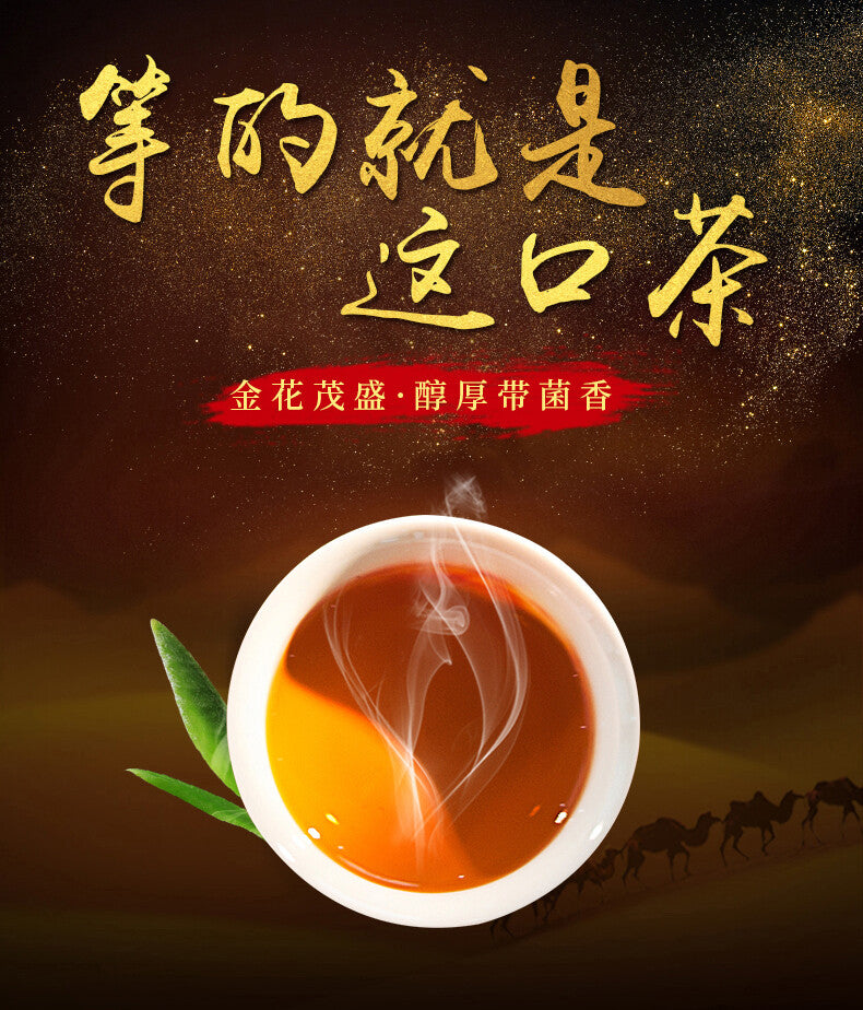 Hunan Fu Tea Fucha Special Made Xiang Yi Yiyang Anhua Dark Tea Fu Brick Tea 300g