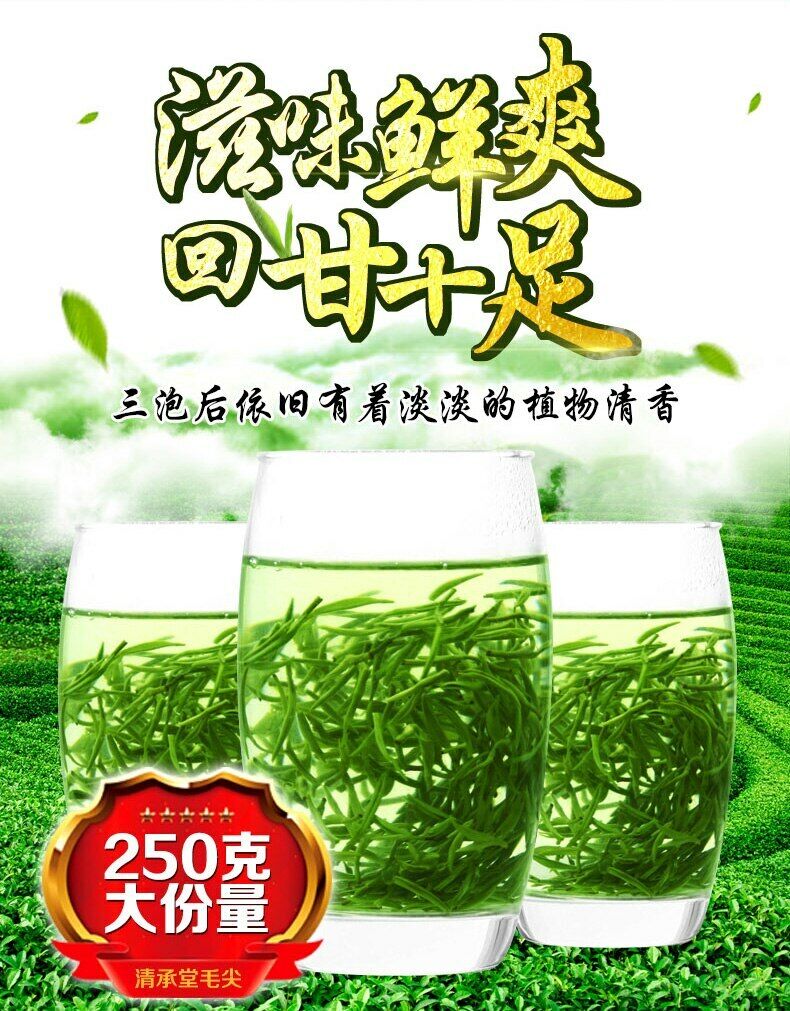 China Xinyang Maojian Tea High Quality Xin Yang Tea Mao Jian Green Tea 250g Tin