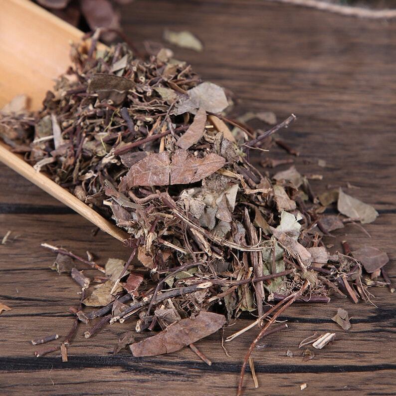 Organic Herbal Damnacanthus Indicus Gaertn Xiu Hua Zhen Healthy Tea