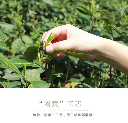 JUNSHAN WANG Ming Qian Spring New Tea Hunan Mao Jian Chinese Green Tea 250g