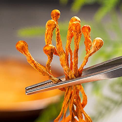 Chinese Cordycep Flowers Chong Cao Hua,Golden Cordyceps Militaris Mushroom 250g