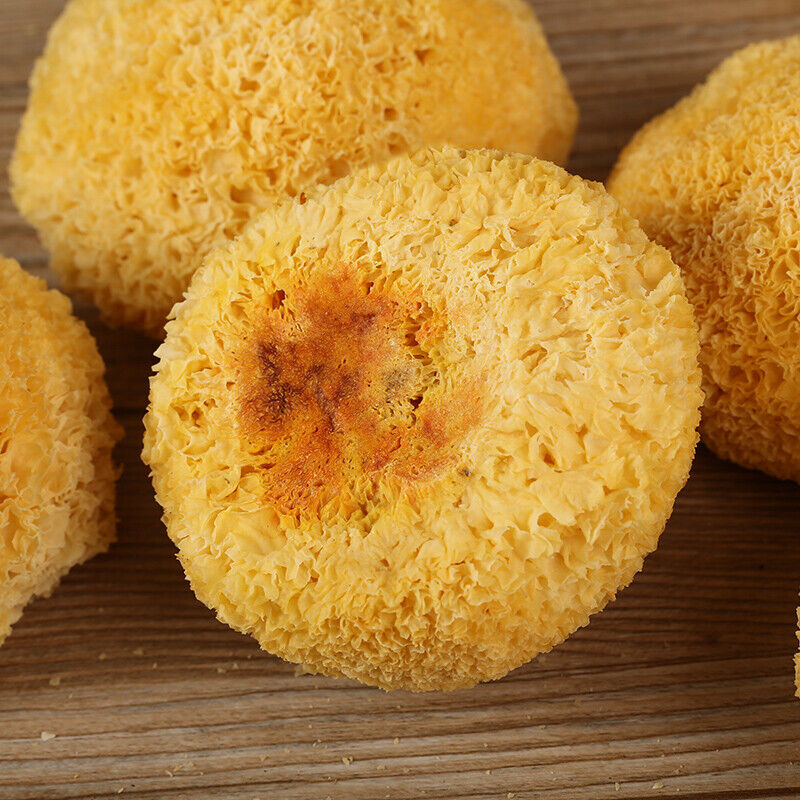Bai Mu Er Tremella Fuciformis Silver Ear Mushroom White Snow Fungus