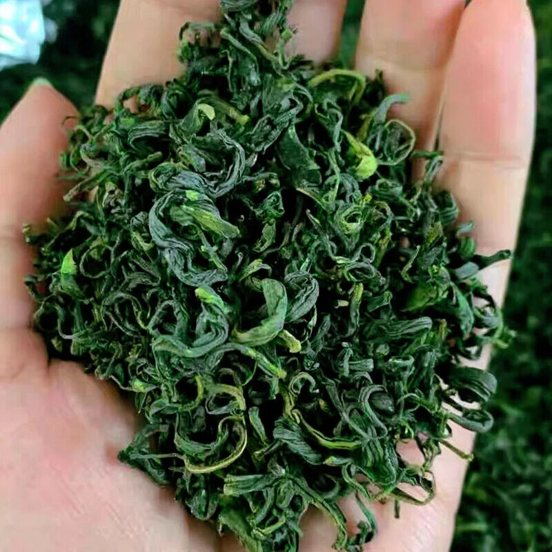 Rolls Church Green Tea New Tea Bright Front Strong Aroma Steeping Loose