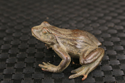 Rare old bronze hand carving fortune Jin Chan statue collectable frog Tea Pet