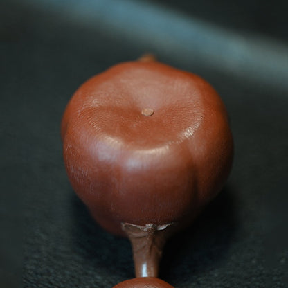 3.4oz Handmade Tea Pot Real Yixing Zisha Master Pot Bionic-style Miniature China