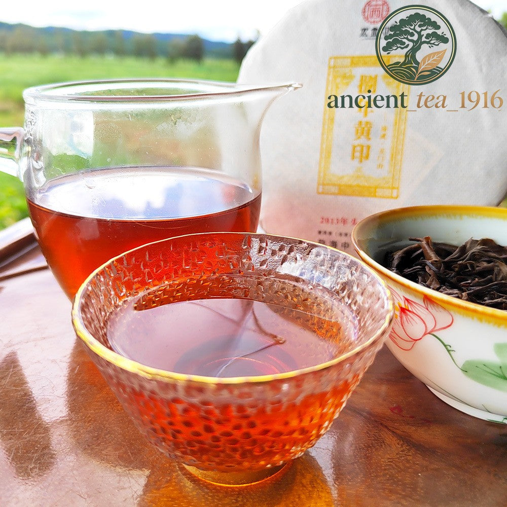 200g 2013 Yi Wu Raw Tea Ancient Tree Yunnan Pu Erh Tea Cake