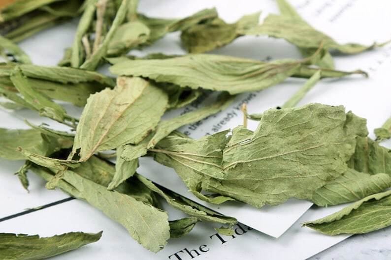 Stevia Leaf Tea, Stevia Leaf Buds Flower Tea,chinese Flower Tea 17.6 Oz/35.3 Oz