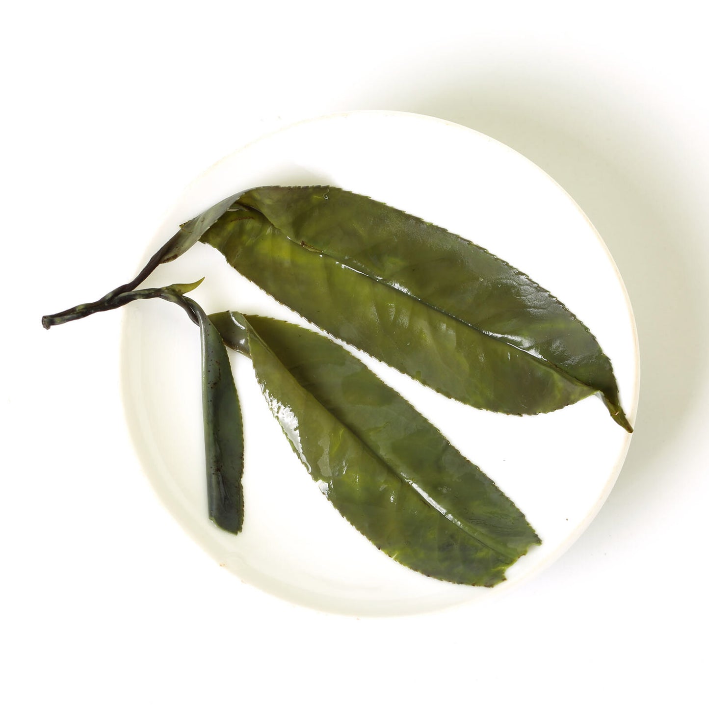 GOARTEA 250g Premium Kuding Bitter Herbal Tea Spike Needle Large Leaf Green Tea-