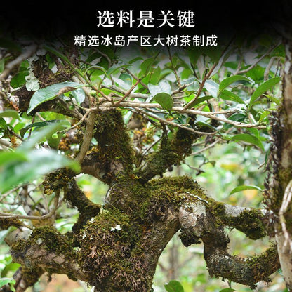 Yunnan Puerh Tea Raw Tea Loose Tea Iceland Ancient Tree Puerh Raw Tea 250g