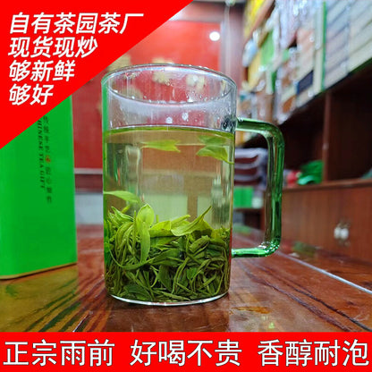 Xinyang Maojian 2024 Green Tea loose-leaf tea Authentic rain Spring Tea 500g