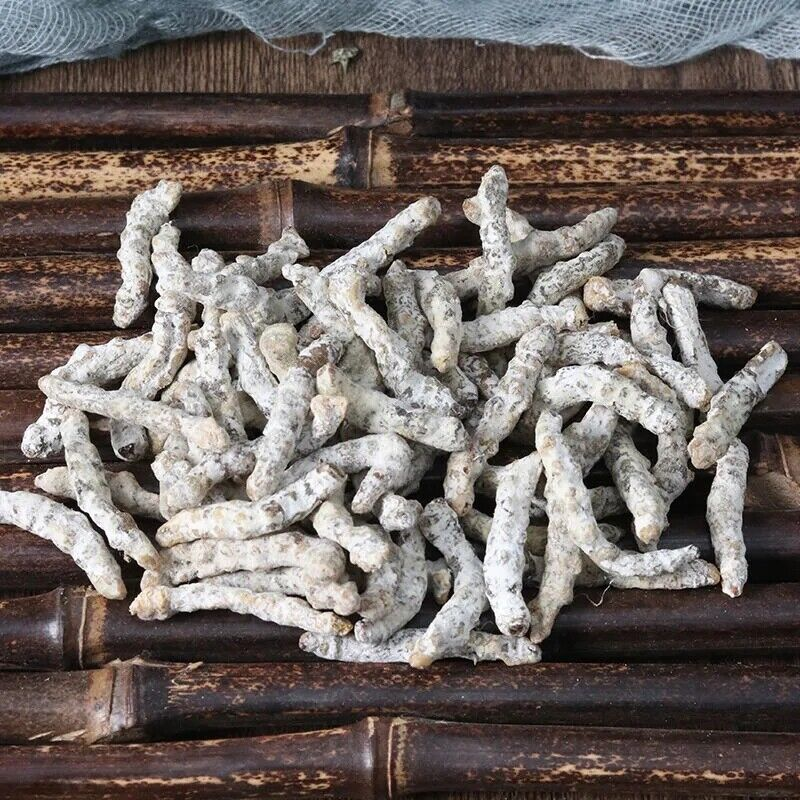 Bai Jiang Can 白僵蚕Silkworm Larva, Bombyx Batryticatus, Bombyx Mori250g 僵蚕天虫僵虫