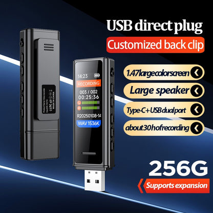 2025 New U-disk Voice Recorder HD Noise Reduction Recording Player