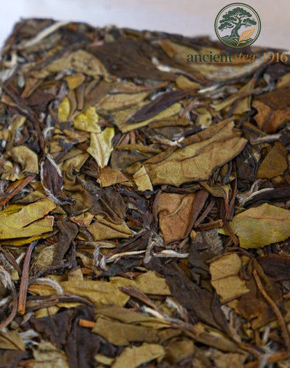 100g 2019 Fuding White Tea Small Square Brick Fujian High Mountain White Tea