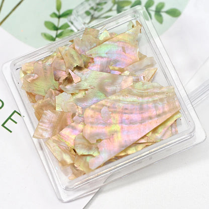 Nail Art Charms Flakes Abalone 3D Irregular Slice Shell Stone DIY Manicure Decor
