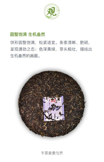 300g MI XIANG Menghai Dayi Raw Pu'er Tea Cake Organic Pu-erh Tea