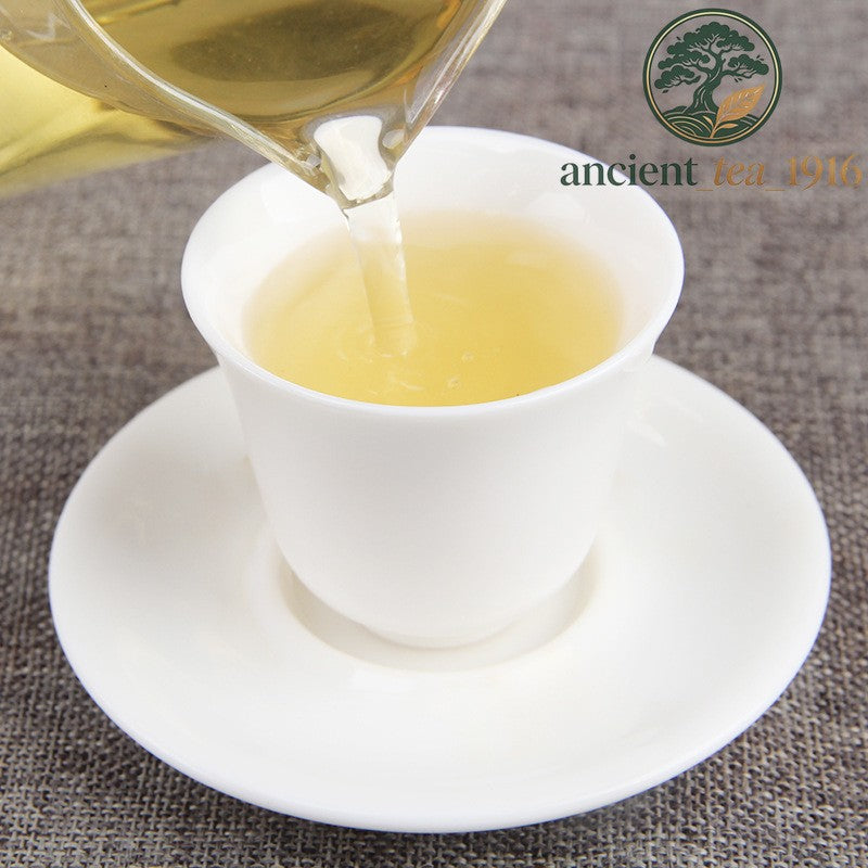 500g 2023 Yunnan Spring Tea Lincang Ancient Tree Raw Tea Pu'er Tea