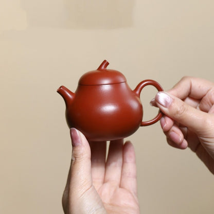 160ml Handmade Tea Pot Real Yixing Zisha Zhu Ni Clay Master Pot Kungfu Teapots