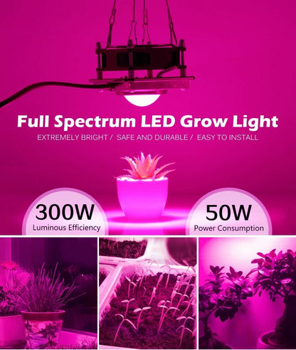 COB Grow Light Full Spectrum 300W High Luminous Efficiency Growing Lamp Plants