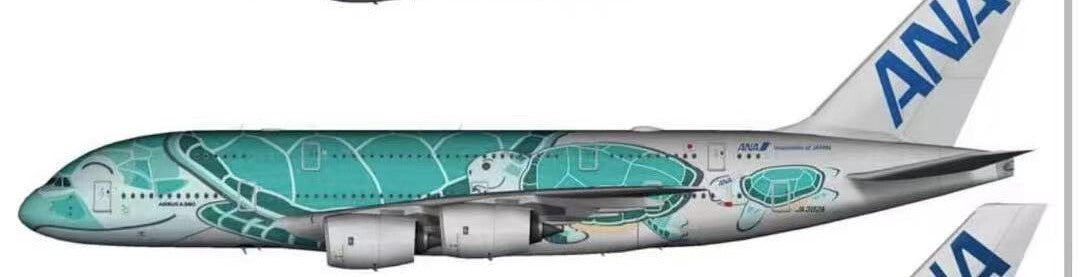 1:400 Phoenix ANA AIRBUS A380 Passenger Airplane Diecast Aircraft Plane Model