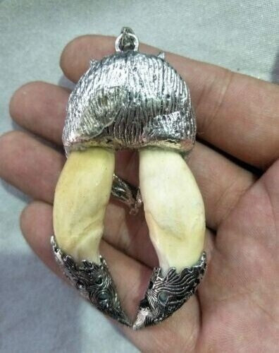 Old Teeth Inlaid Silver Wolf Head Pendant Amulet Collection