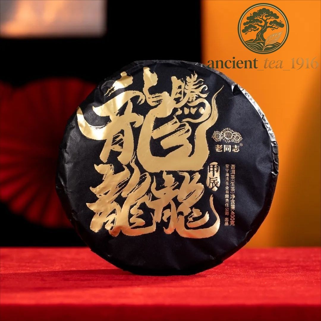 400g Haiwan 2024 Raw Puer tea "Dragon" Teng Da Raw Pu Er Cake