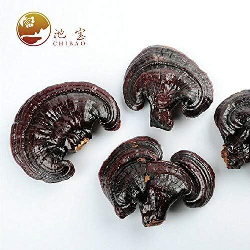 Natural Lingzhi Lucidum Tea Health Dried Red Reishi Mushrooms Ganoderma 500g