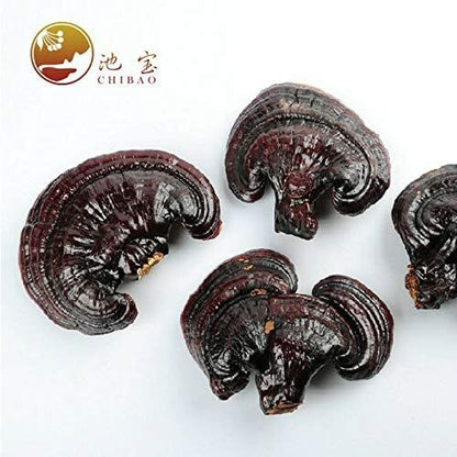 Natural Lingzhi Lucidum Tea Health Dried Red Reishi Mushrooms Ganoderma 500g