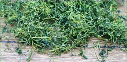 Long Xu Gynostemma Pentaphyllum Jiaogulan Jiao Gu Lan tea buds Herbal leaf green